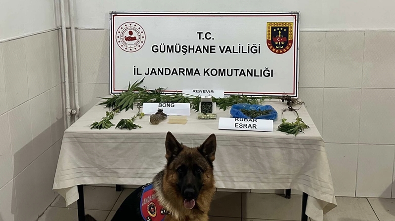 Gümüşhane İl Jandarma Komutanlığı ekiplerince Torul’da yapılan başarılı operasyonla 3