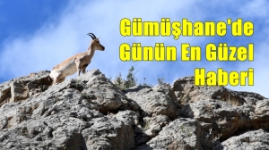Gümüşhane’de son yıllarda uygulanan etkin av koruma çalışmaları ve halkın