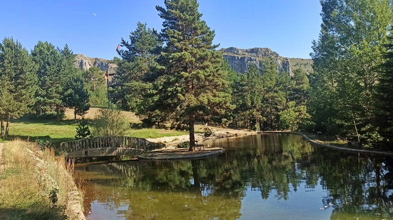 Gümüşhane Kent Ormanı yolu Vali Alper Tanrısever’in girişimleriyle asfaltla kaplanacak.