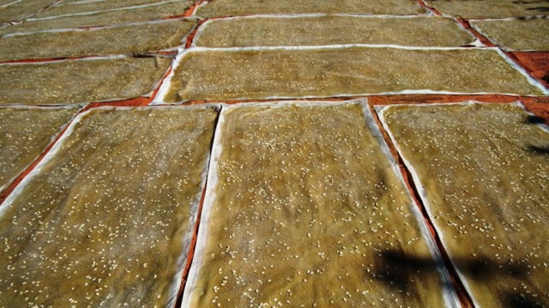 S. Vedat Karaarslan, Arkeolog- Elektronik Mühendisi (MSc.) Pestil kelimesi köken