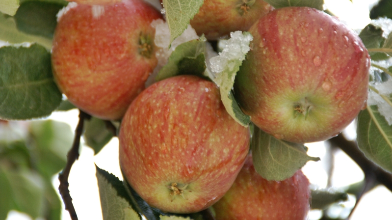 Engin Doğru Gümüşhane tarih boyunca Harşit Çayı’nın her iki yakasında