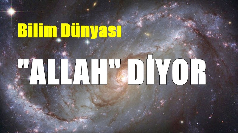 TÜBİTAK, Üsküdar Üniversitesi ve Bilimler Işığında Yaratılış Derneği iş birliğiyle