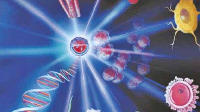 Prof. Dr. İsmail KOCAÇALIŞKAN / Yıldız Teknik Üniversitesi Fen Edebiyat Fakültesi