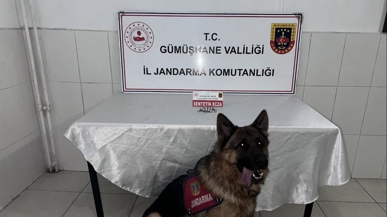 Konu ile ilgili olarak Gümüşhane Valiliği’nden yapılan açıklama şöyledir: “Gümüşhane