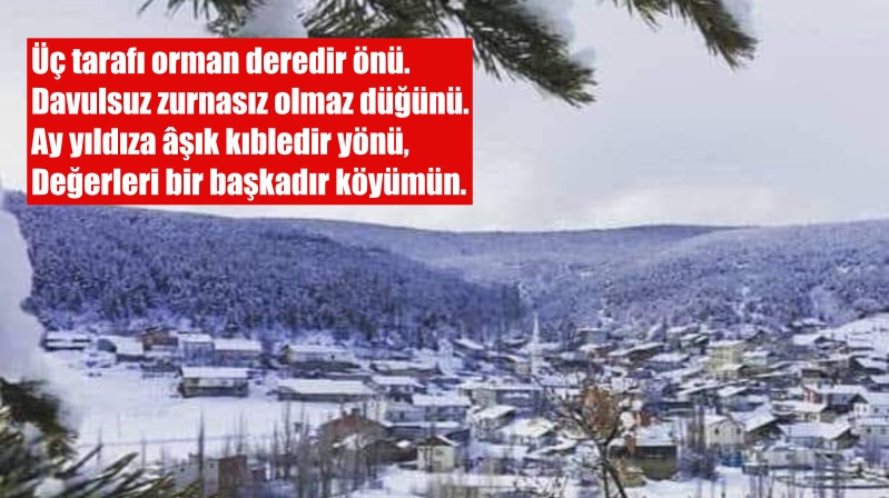 Gümüşhane Şiran Mertekli Köyüme… BİR BAŞKADIR Kış gelince beyaz giyer