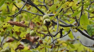 S. Vedat Karaarslan, Arkeolog- Elektronik Mühendisi (MSc.) Bir zamanlar insanoğlunun