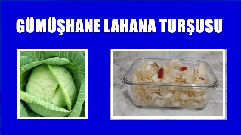 Gümüşhane ve İlçelerinin köylerinde yetişen ve “Köy Lahanası” olarak da