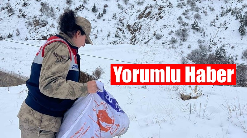 Gümüşhane İl Jandarma Komutanlığı ekiplerinin her alanda başarılı çalışmaları devam