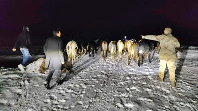 Gümüşhane Jandarması gece gündüz demeden günün her saatinde vatandaşımızın yardıma