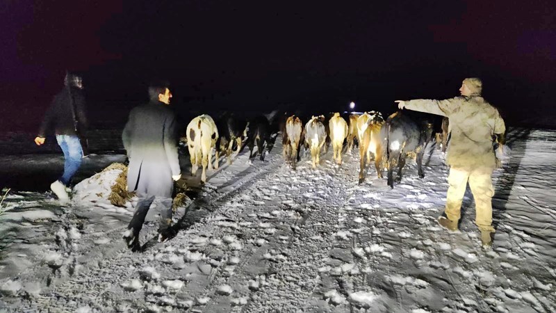 Gümüşhane Jandarması gece gündüz demeden günün her saatinde vatandaşımızın yardıma