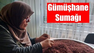Emekli Devlet Memuru Zehra Güvendi, 6 yıldır Gümüşhane’nin Kürtün İlçesi’ndeki