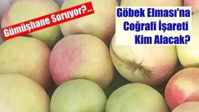 Cumhurbaşkanı Recep Tayyip Erdoğan’ın eşi Emine Erdoğan’ın himayesinde, Sanayi ve