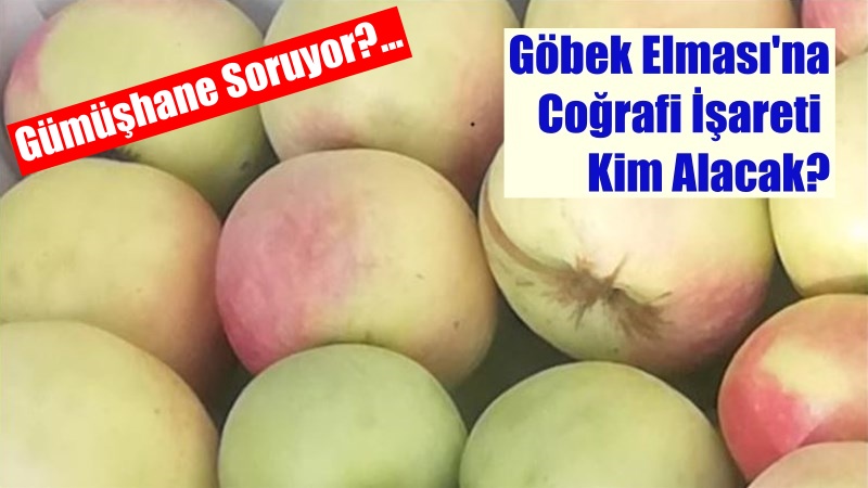 Cumhurbaşkanı Recep Tayyip Erdoğan’ın eşi Emine Erdoğan’ın himayesinde, Sanayi ve