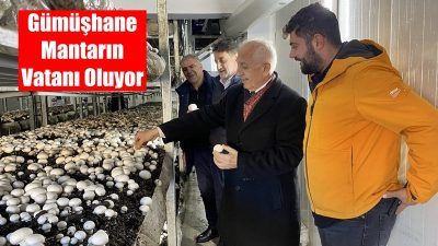 Gümüşhane Ticaret ve Sanayi Odası (GTSO) Başkanı İsmail Akçay ve
