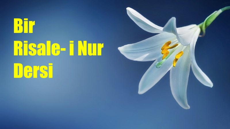 RİSALE-İ NUR KÜLLİYATI, LEM’ALAR KİTABI, 14. LEM’A BÖLÜMÜNDEN On Dördüncü