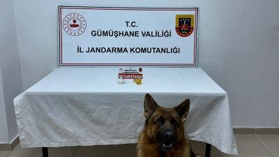 Gümüşhane Jandarması 35.2 gr uyuşturucu ve uyarıcı madde ele geçirdi.