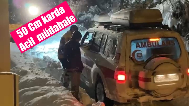 Kar kalınlığının 50 santimetreyi geçtiği Gümüşhane merkez Dölek köyünde yaşayan