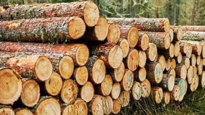 S. Vedat Karaarslan, Arkeolog- Elektronik Mühendisi (MSc.) Tarihi çok daha