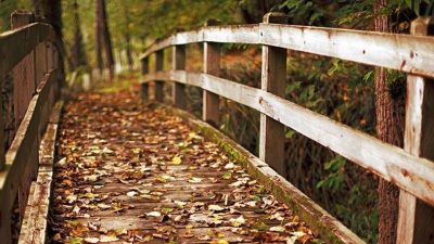 S. Vedat Karaarslan, Arkeolog- Elektronik Mühendisi (MSc.) Gümüşhane ilimizin&nbsp;günümüzde adı