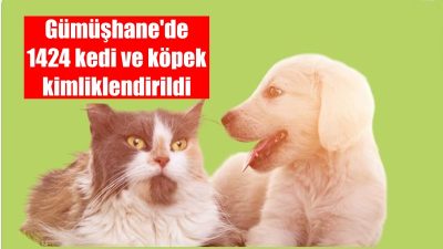Hayvanları Koruma Kanununda Değişiklik Yapılmasına Dair Kanun kapsamda kedi ve