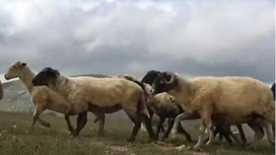 S. Vedat Karaarslan, Arkeolog- Elektronik Mühendisi (MSc.) Doğumundan sonra 7.