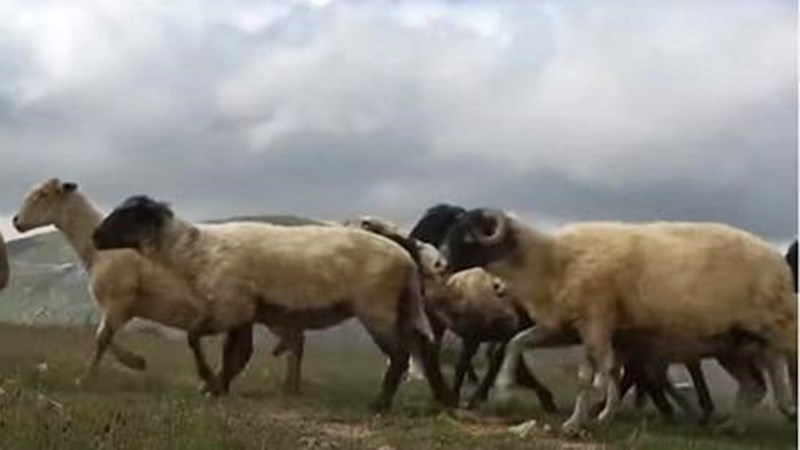 S. Vedat Karaarslan, Arkeolog- Elektronik Mühendisi (MSc.) Doğumundan sonra 7.