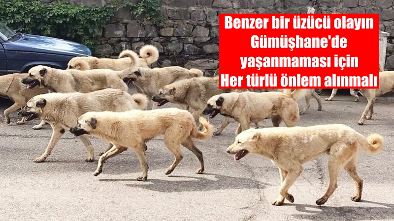 Konya’nın Karatay ilçesinde evinin önünde oyun oynayan 2 yaşındaki çocuk,