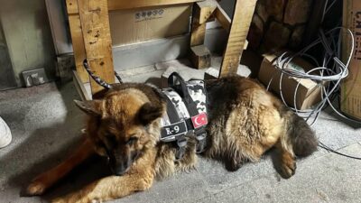 Gümüşhane Valiliği’nden konu ile ilgili yapılan açıklama şöyledir: “Asayiş Şube