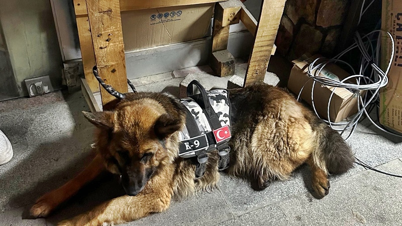 Gümüşhane Valiliği’nden konu ile ilgili yapılan açıklama şöyledir: “Asayiş Şube