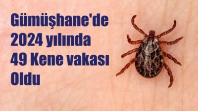 Riskli illerden biri olan Gümüşhane’deki kene olayları ile ilgili talep
