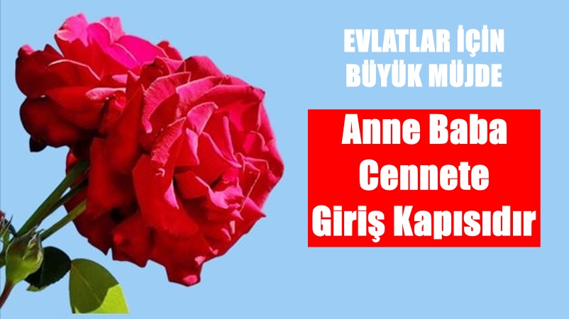 Peygamber Efendimiz Hz. Muhammed (s.a.v) buyuruyor: “Anne baba, kişinin cennete