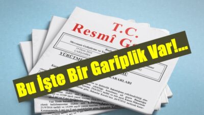 Sanayi ve Teknoloji Bakanlığı tarafından hazırlanan “Yerel Kalkınma Hamlesi Programı