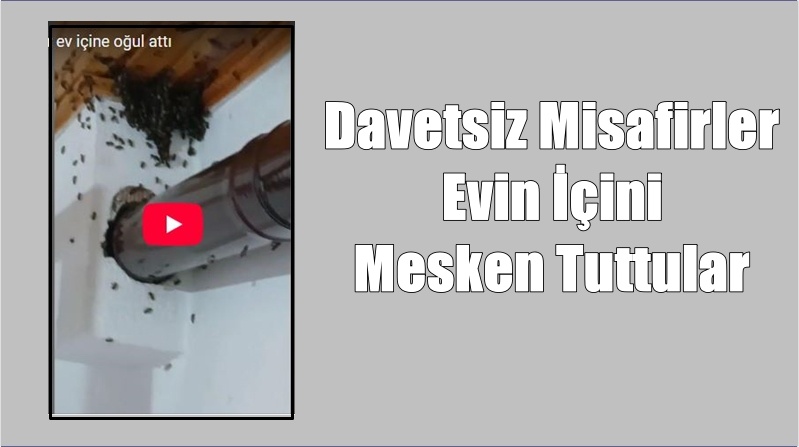 Gümüşhane’nin Torul ilçesine bağlı Dağdibi köyünde yaşayan emekli memur Hasan