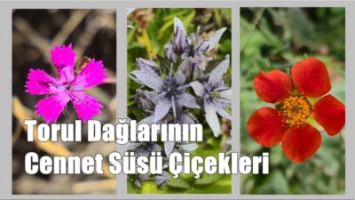 “Boyası Allah’ınkinden daha güzel olan kimdir?” Bakara Suresi 138. Ayet.