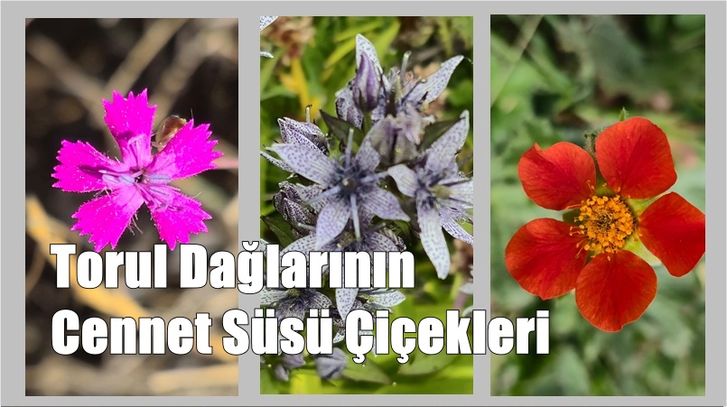 “Boyası Allah’ınkinden daha güzel olan kimdir?” Bakara Suresi 138. Ayet.