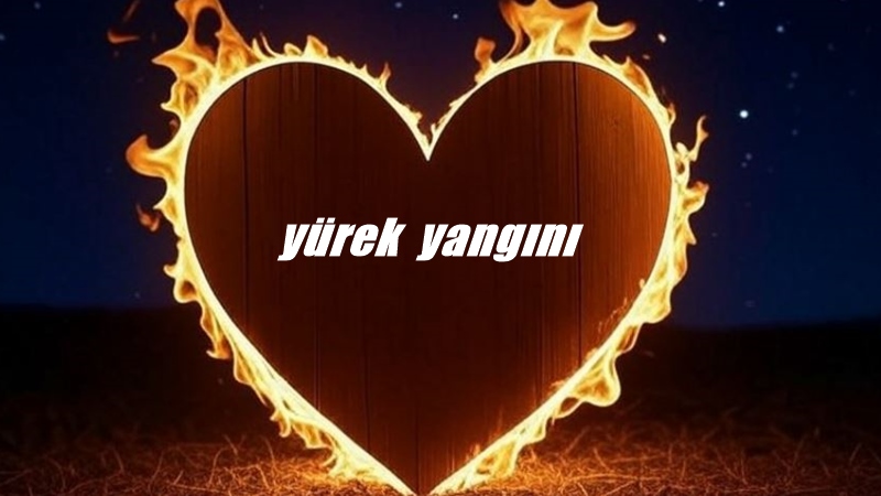 YÜREK YANGINI Geçti yaz aylarım geldi sonbahar, Divane gönlümü kandıramadım.