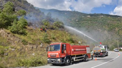 Gümüşhane’nin Kürtün İlçsesi Günyüzü Köyü’nde bugün öğle saatlerinde fındıklık alanda