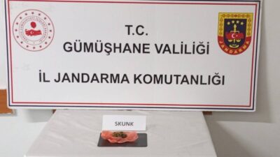 Konu ile ilgili olarak Gümüşhane Valiliği’nden yapılan yazılı açıklama şöyledir: