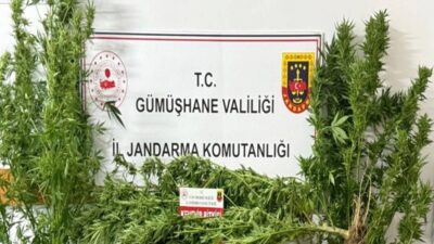 Konu ile ilgili olarak Gümüşhane Valiliği’nden yapılan yazılı açıklama şöyledir: