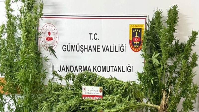 Konu ile ilgili olarak Gümüşhane Valiliği’nden yapılan yazılı açıklama şöyledir: