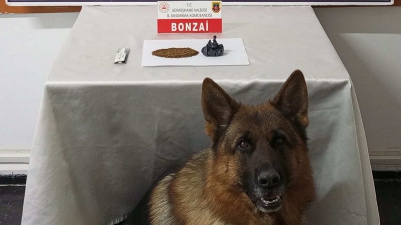 Gümüşhane Valiliği’nden konu ile ilgili yapılan yaızlı açıklama şöyledir: “Gümüşhane