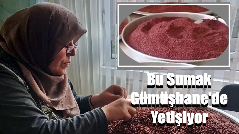Emekli Devlet Memuru Zehra Güvendi, 7 yıldır Gümüşhane’nin Kürtün İlçesi’ndeki