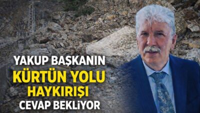 Türkiye’nin en sorunlu, en tehlikeli &nbsp;yollarından biri olan ve her