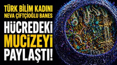Amerika’da yaşayan Türk Bilim Kadını Neva Çiftcioğlu Banes &nbsp;X hesabından