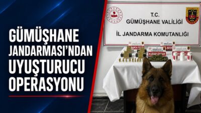Gümüşhane’de jandarma ekiplerinin yürüttüğü uyuşturucu ile mücadele çalışmaları kapsamında düzenlenen