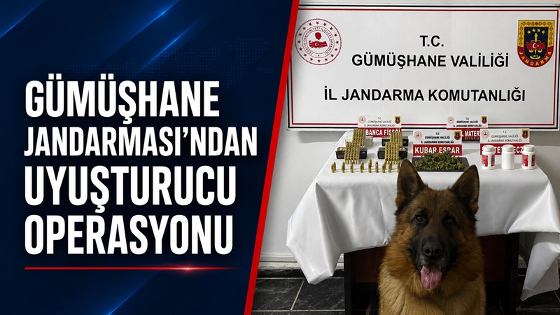 Gümüşhane’de jandarma ekiplerinin yürüttüğü uyuşturucu ile mücadele çalışmaları kapsamında düzenlenen
