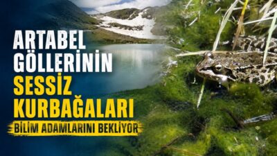 Türkiye’nin en önemli tabiat parklarından biri olan Gümüşhane’nin Torul ilçesindeki
