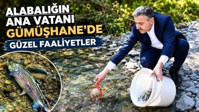 Gümüşhane Valisi Cevdet Atay, Torul ilçesinde 10 bin kırmızı benekli