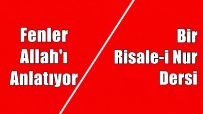 Risale-i Nur Külliyatı – Lem’alar Kitabı – 30. Lem’a’dan alınmıştır