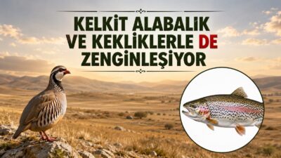 Gümüşhane’nin Kelkit ilçesinde doğal yaşamın korunması ve biyolojik çeşitliliğin artırılması